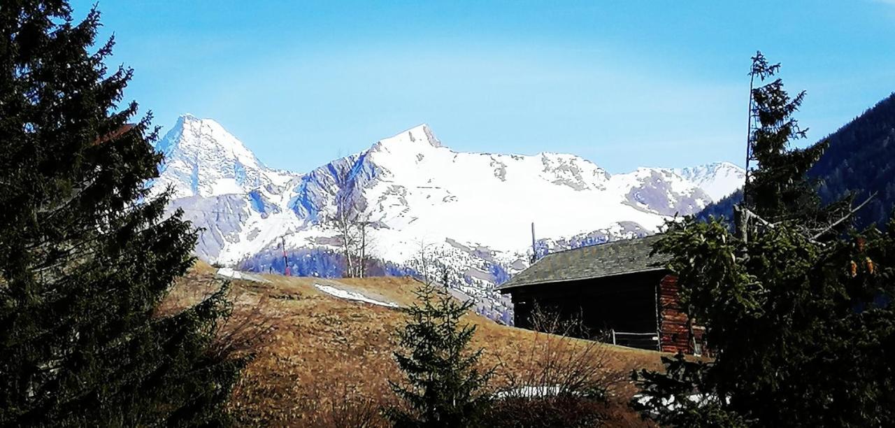 Ferienwohnungen Niederarnigerhof Familie Bauernfeind Kals am Grossglockner Exterior photo