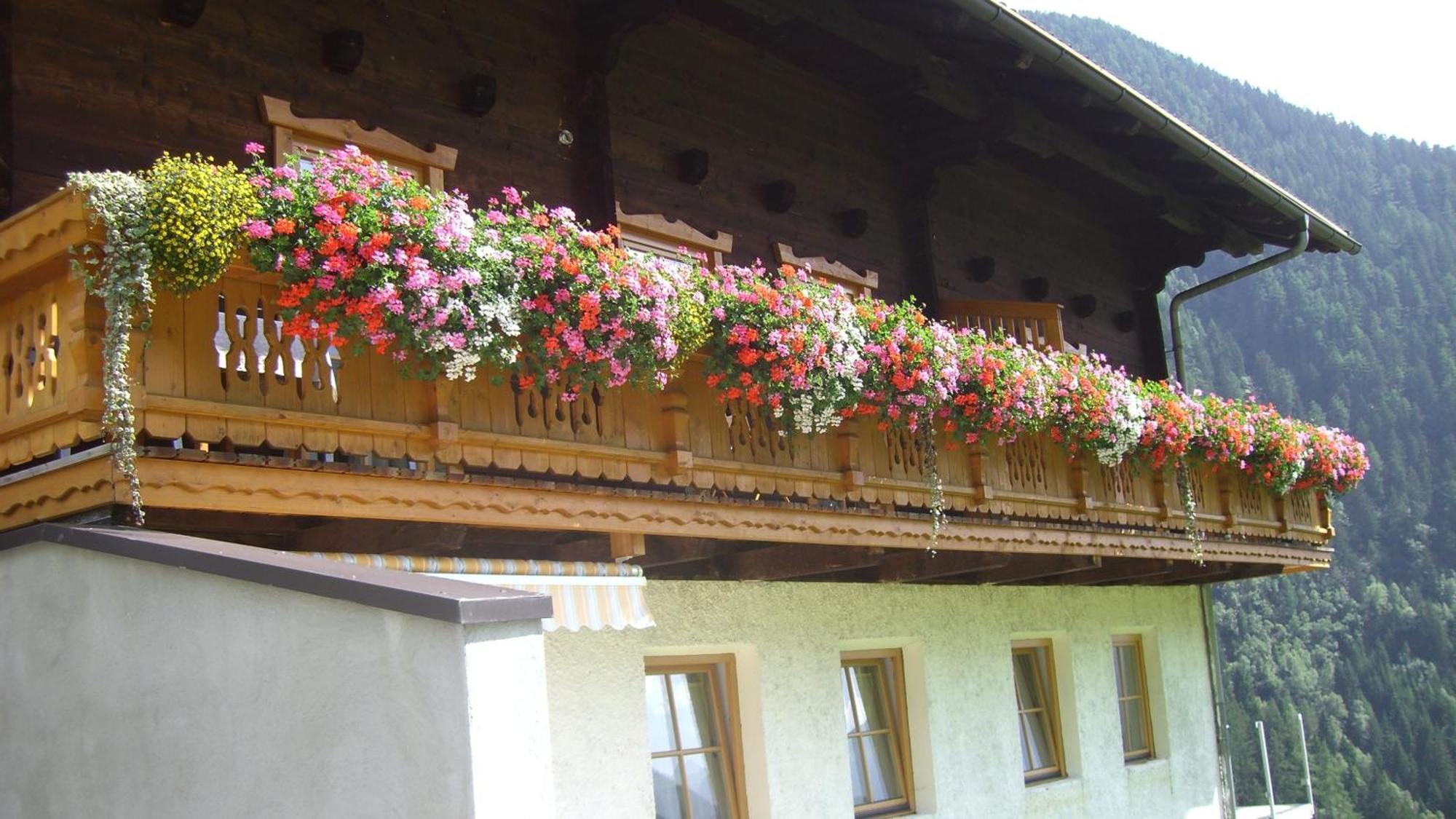 Ferienwohnungen Niederarnigerhof Familie Bauernfeind Kals am Grossglockner Exterior photo